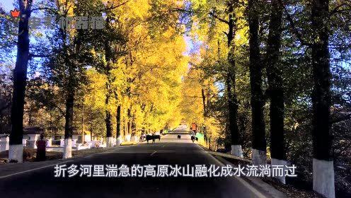 娱乐吃瓜拍摄地,探寻明星足迹的神秘角落  第2张 娱乐吃瓜拍摄地,探寻明星足迹的神秘角落  第2张